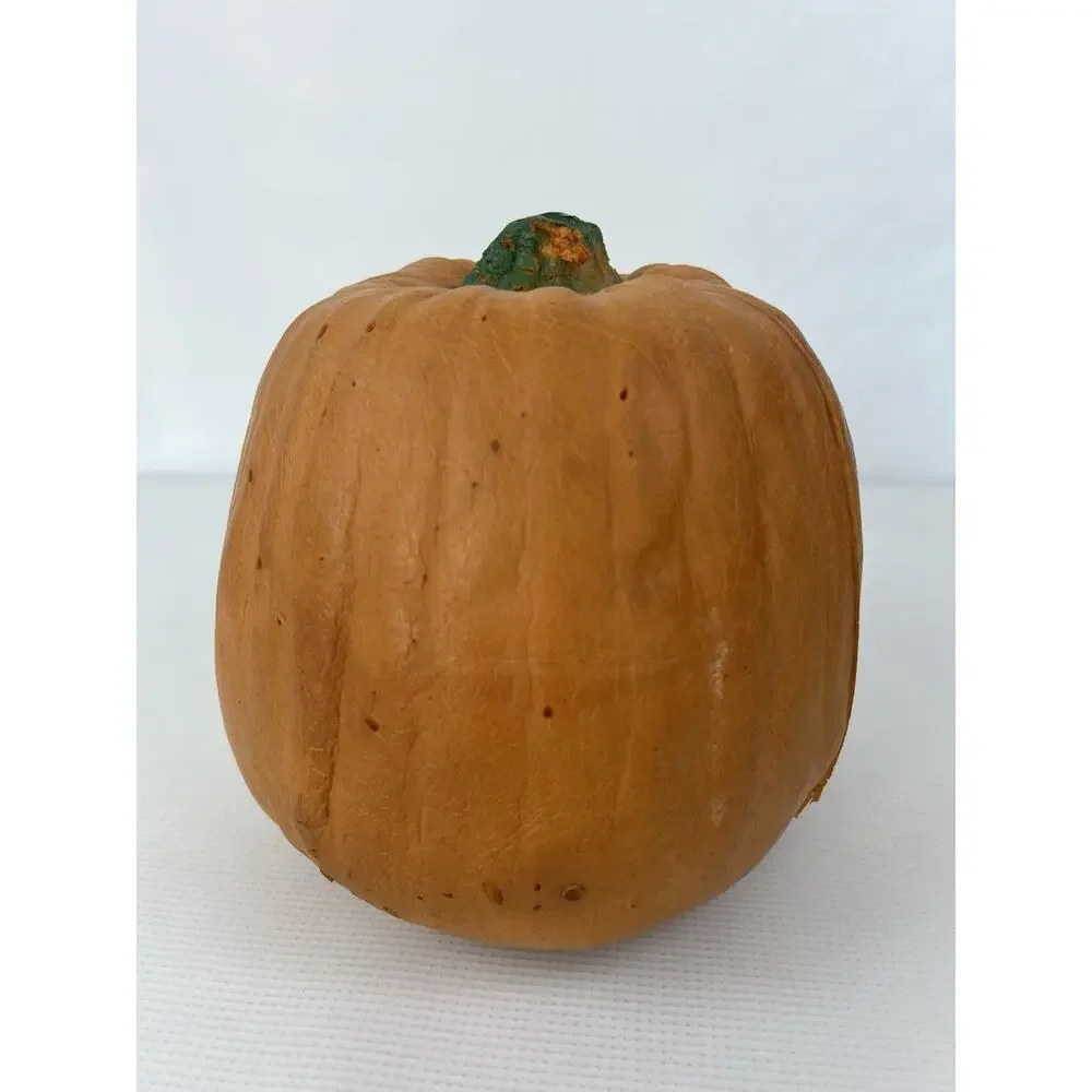 Todd Masters 1980s Jesabell Oh Lantern Pumpkin Foam Face 7